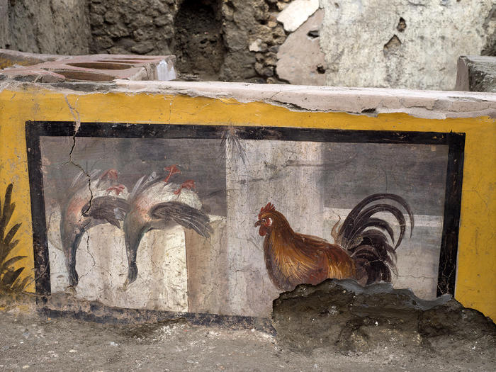 Αρχαιολογικά ευρήματα αποκαλύπτουν τις ρίζες της μεσογειακής διατροφής