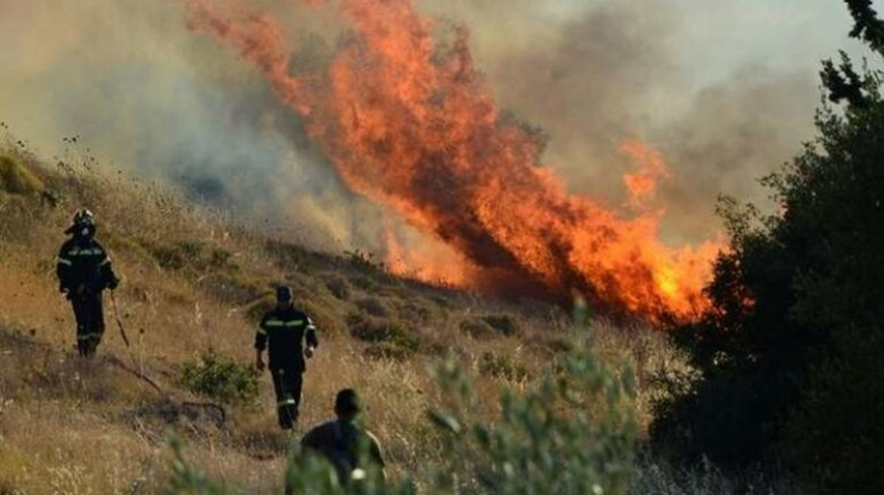 Ένα δεκάριο έκαψε η δασική πυρκαγιά στην Ίνεια