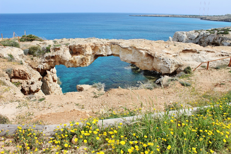 Δενδροφύτευση σε πρώην σκυβαλλότοπο στο Κάβο Γκρέκο