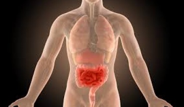 Τα μιτοχόνδρια πυροδοτούν τη νόσο του Crohn διαταράσσοντας το μικροβίωμα του εντέρου