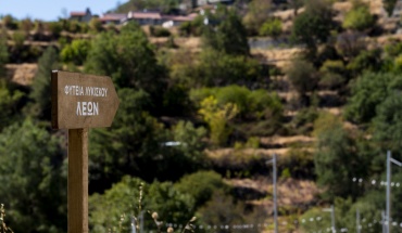 ΛΕΩΝ: Η πρώτη και η μόνη κυπριακή μπύρα με λυκίσκο κυπριακής σοδιάς