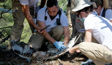 Σεμινάριο για την καταπολέμηση εγκλήματος κατά της άγριας ζωής