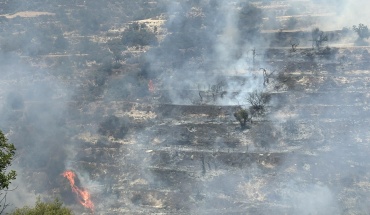 Ελληνικά και ισραηλινά αεροσκάφη επιχειρούν για οριοθέτηση πυρκαγιάς