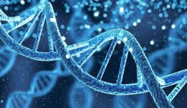 Αρχαίο ιικό DNA στο γονιδίωμα συνδέεται με σημαντικές ψυχιατρικές διαταραχές