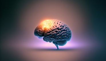 Βιοδείκτες της Νόσου Αλτσχάιμερ συνδέονται με αλλαγές στα αιμοφόρα αγγεία του εγκεφάλου