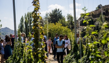 Η πρώτη καλλιέργεια λυκίσκου στην Κύπρο από τον Όμιλο Φώτος Φωτιάδης και την μπίρα Λέων